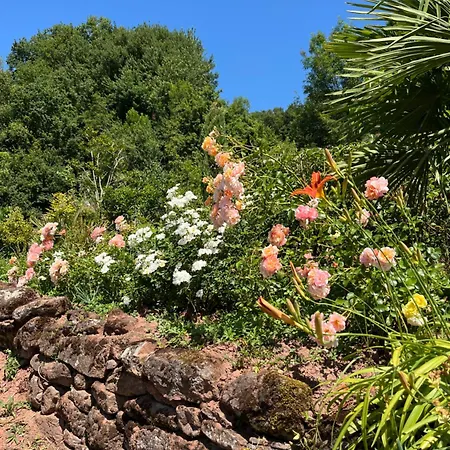 Ferienhaus La Loge D'evelyne