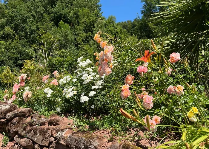 Hébergement de vacances La Loge D’evelyne